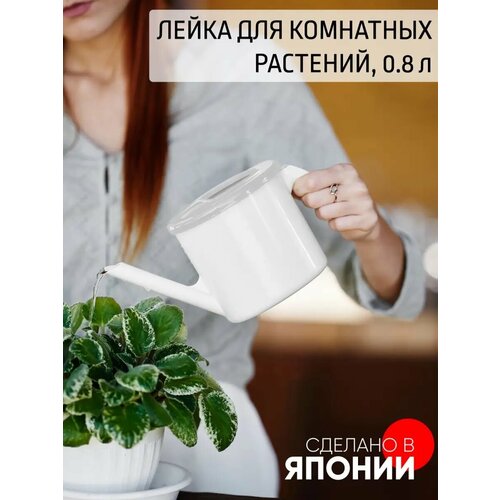 ������ ������ ����� ��� ��������� �������� 800 �� ����