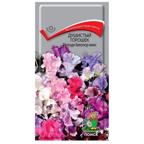 ������ ������ ������ ����� �������� ������� ������ ������� ���� 1 � ����