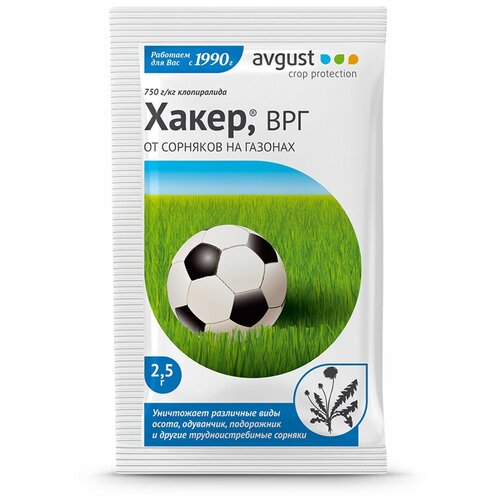 ������ ������ Avgust �������� �� �������� �� ������� �����, 2.5 �, 10��. ����