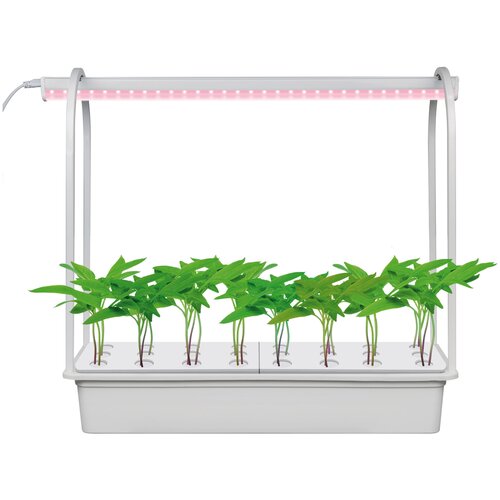 ������ ������ Uniel ����� ��� ����������� ULT-P44D-10W/SPLE IP20 Aqua Simple White, 13.92 �, 1 ��., ����� ����