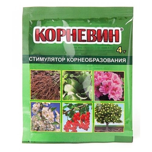 ������ ������ ��������� ���� ��������� ��������, 4 �, 1 ��. ����