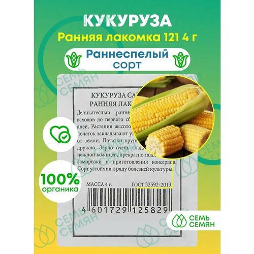 ������ ������ ������. �������� �������� 