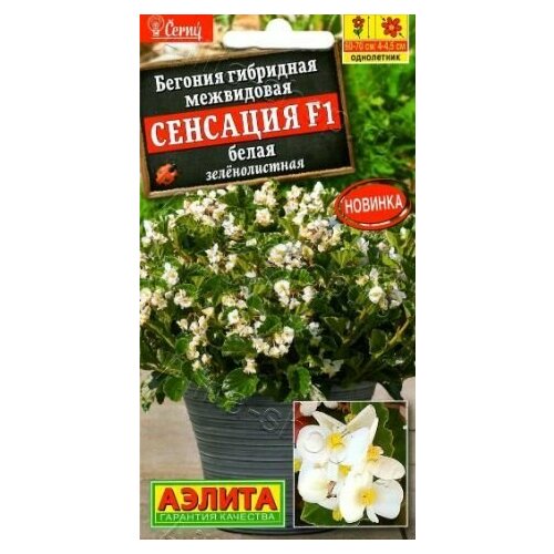 ������ ������ ������� ��������� �������� ����� ������������� F1 ( 3 �������� ) , ������ ����