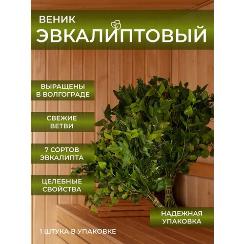 ������ ������ ������������ ����� ��� ���� � ����� (1��.) ����