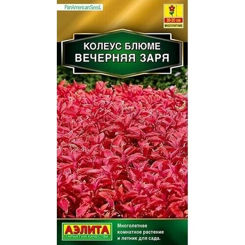 ������ ������ ������ ������ ������ ����� �������� ���� (10 ��. �����) ����