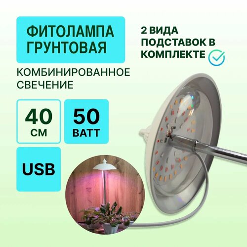 ������ ������ �������������� ������� ������� ��� �������, ��������� ��� �������� � ����� ����������� ����