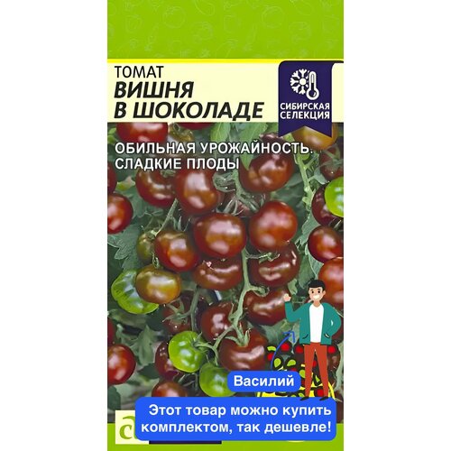 ������ ������ ������ ������ ������ ����� 