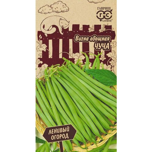 ������ ������ ����� ���� �/� 10�� ����