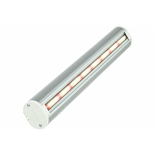 ������ ������ ������� ������������ �������������� 