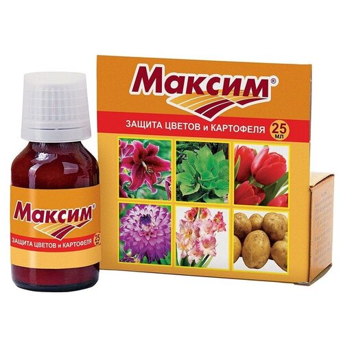 ������ ������ ���� ��������� �������� �������-����������� �������� ������, 25 ��, 75 � ����