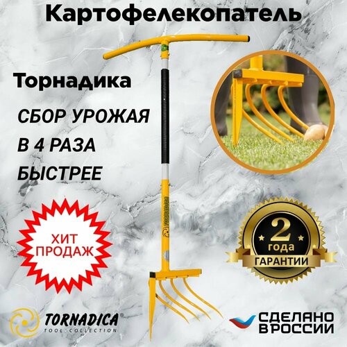 ������ ������ ����������������� ������ ����������� ��������� / ���������������� ������ ����