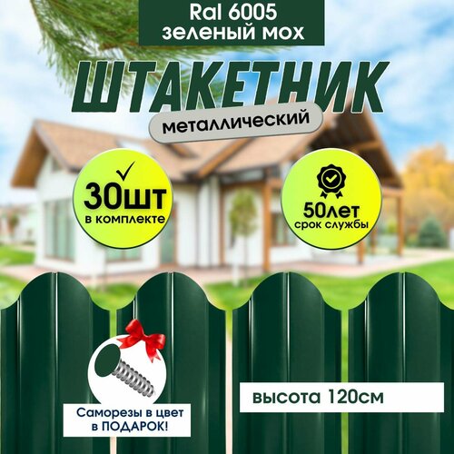 ������ ������ �������� ������� ��� ���� ������� 120�� ����