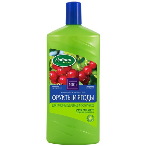 ������ ������ ��������� ������ ���� ��� �������� �������� � �����������, 1 �, 1 ��. ����