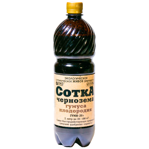 ������ ������ ��������� �������� ����� ��������� ������ ����������, 1 �, 1100 �, 1 ��. ����