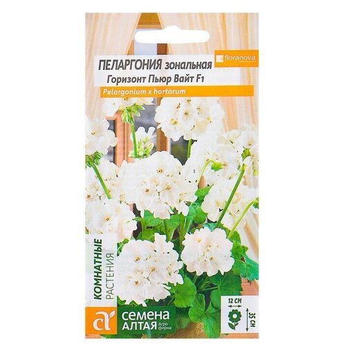 ������ ������ ������ ��������� ������ ���������� 