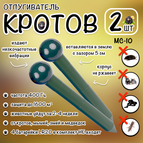 ������ ������ ������������ ������, �����, ���������, ��������, ��-10, ������� �������, �������, 2 ����� ����