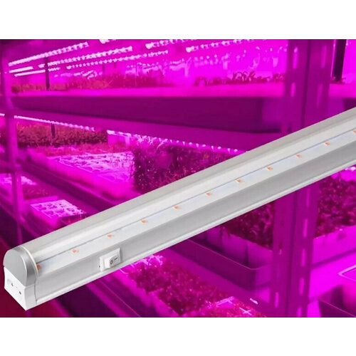   C   Foton Lighting FOTON FL-LED T4-20W PLANTS 22*30*1473 20 220   (  : 2101017  2101018) 