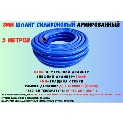 ������ ������ 5 ������ - ����������� ����� 8 ��, ����� ����������� ������������, ����������� �����, ���������� ������� 8 �� ����