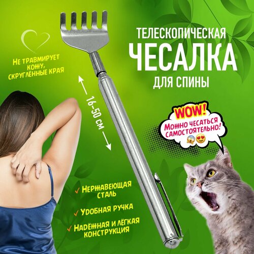 ������ ������ ������� �������� ��� ����� ��������������� 16-50 �� ����