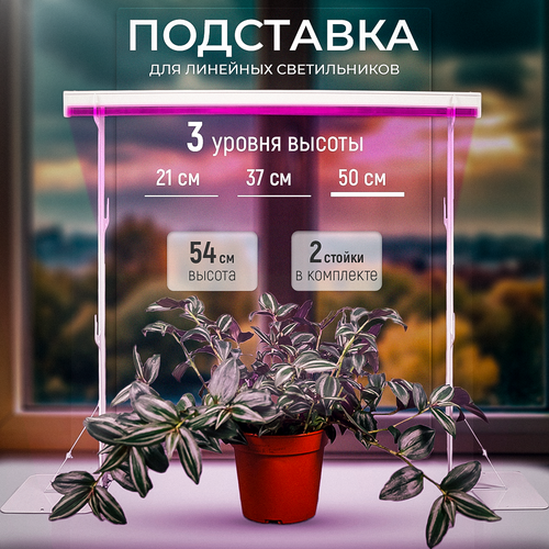 ������ ������ ��������� ��� ���������, ��������� ��� ��������� 54 �� ����