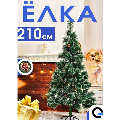 ������ ������ ���� ������������� ���������� ����� �������� / ������ 210 �� ����