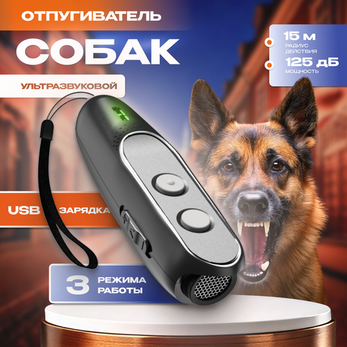 ������ ������ ������������ ����� �������������� ������ ����