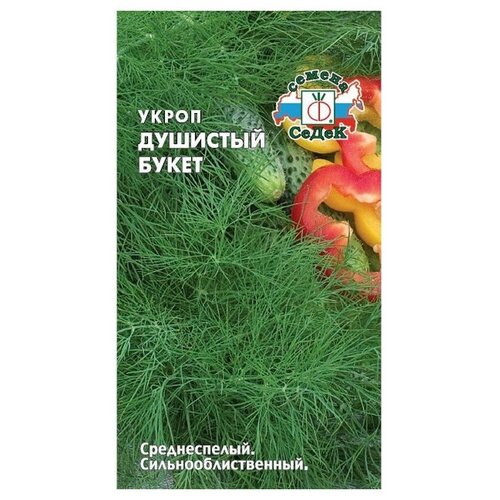 ������ ������ ������ ����� ����� �������� ����� ����