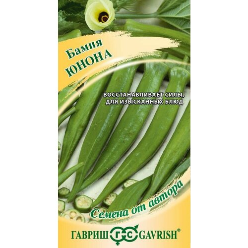 ������ ������ ����� ����� 5 ��. ����