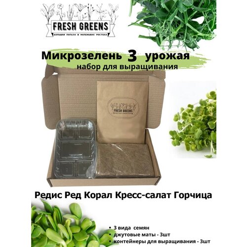       Fresh Greens (   - ) 