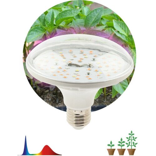 ������ ������ ��������� ��� �������� ������������ ��� FITO-18W-RB-E27 ������-������ ������� (�������) R100 �27 18�� 36 ������/� 380.780�� 2370� 230� (�0049533) (�������� 6 ��) ����