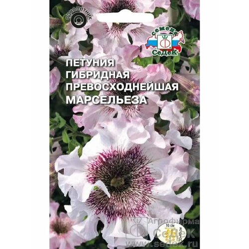 ������ ������ ������� 