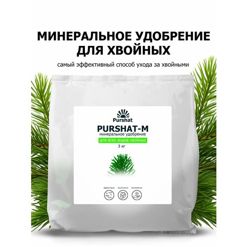 ������ ������ ��������� ������ ����������� ��� ������� �������� 3 �� ����