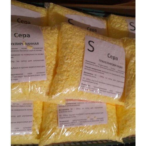 ������ ������ ���� ��������������� 5 ��. ����