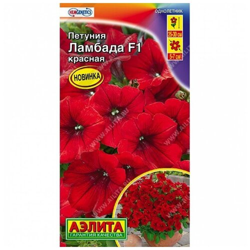 ������ ������ ������. ������� �������������� 