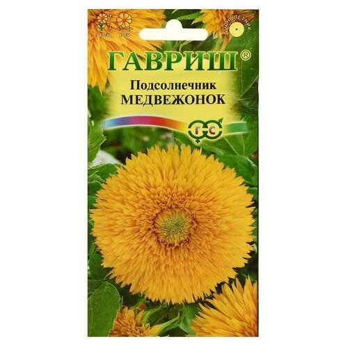 ������ ������ ������ ������ ������������ 