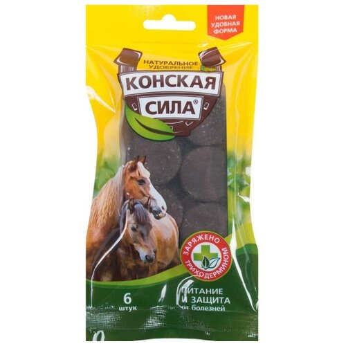 ������ ������ ��������� ��������� ����������� ������� ����, 6 �������� . ����