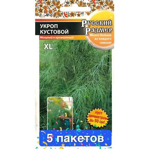 ������ ������ ������ ������ � ��������� ������� ������ 