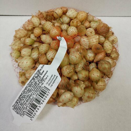 ������ ������ ��� - ����� ������ ������� (������) 100�� ������� ����