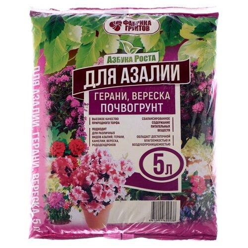 ������ ������ ���������� ������� ������� ������ ������������, 5 �, 2.3 �� ����