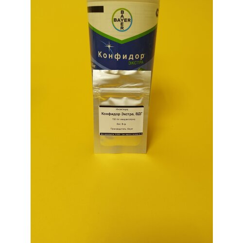 ������ ������ ���������� �������� ������ 5 �� ����