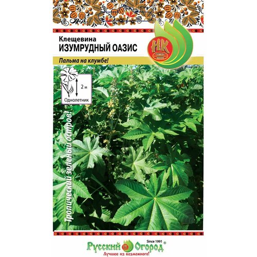 ������ ������ ������. �����. ��������� 