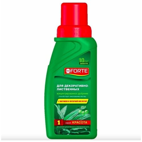 ������ ������ ��������� ������� ��� �����������-���������� �������� 285�� ����