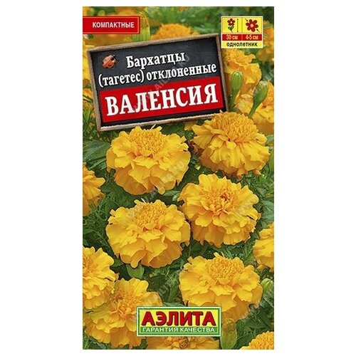 ������ ������ ������. �������� ����������� 