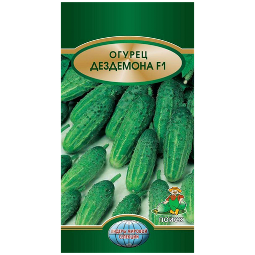 ������ ������ ������ ������ ��������� F1 12 ��. ����