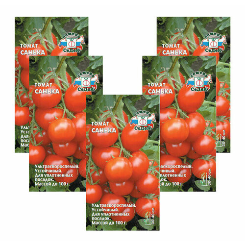 ������ ������ ������ ����� ������ 0,1 � (�����) , 5 ��������� * 0,1 � ����