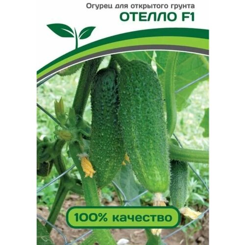 ������ ������ ������������� ������ ������ ������ F1 ����