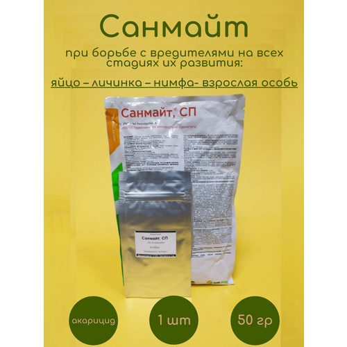 ������ ������ �������� ������� 50 �� ����