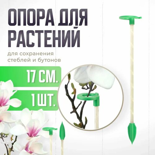 ������ ������ ����� ��� �������� � �������, ������� ������� ��� �������, ��� ������� , ��������� ������ 17 �� -1 �� ����