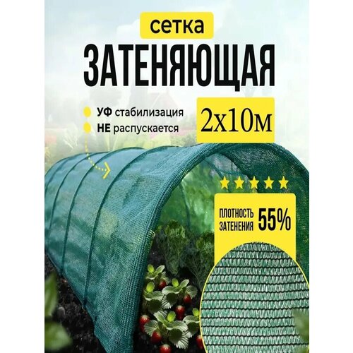 ������ ������ ����� ���������� 55% ��� ������, �������, �������, ������ 2� � 10 � ����
