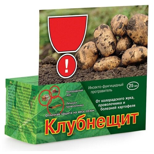 ������ ������ ���� ��������� �������-����������� ������������ ���������, 25 ��, 80 � ����